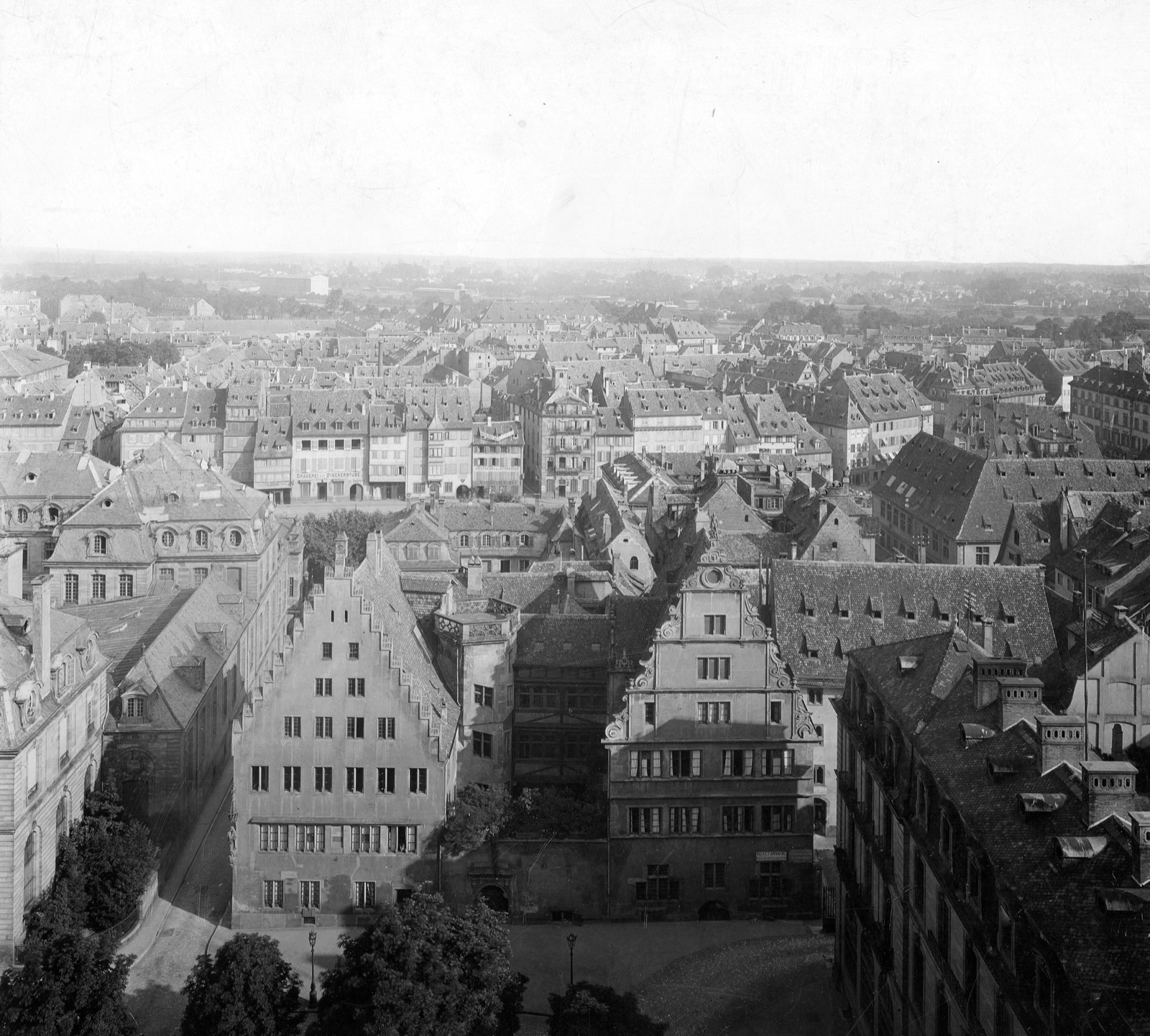 A high view over the roofs of Strasbourg to the Maison de l'Œuvre Notre-Dame, a photogrammetric photograph