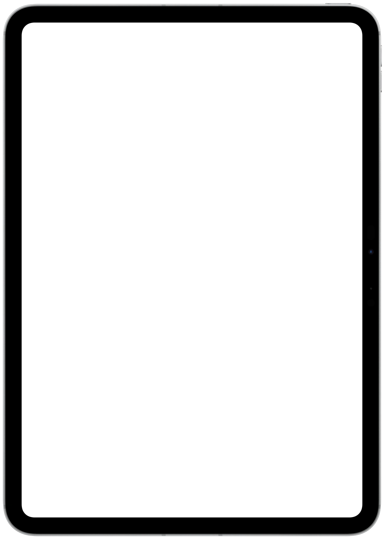 iPad Pro